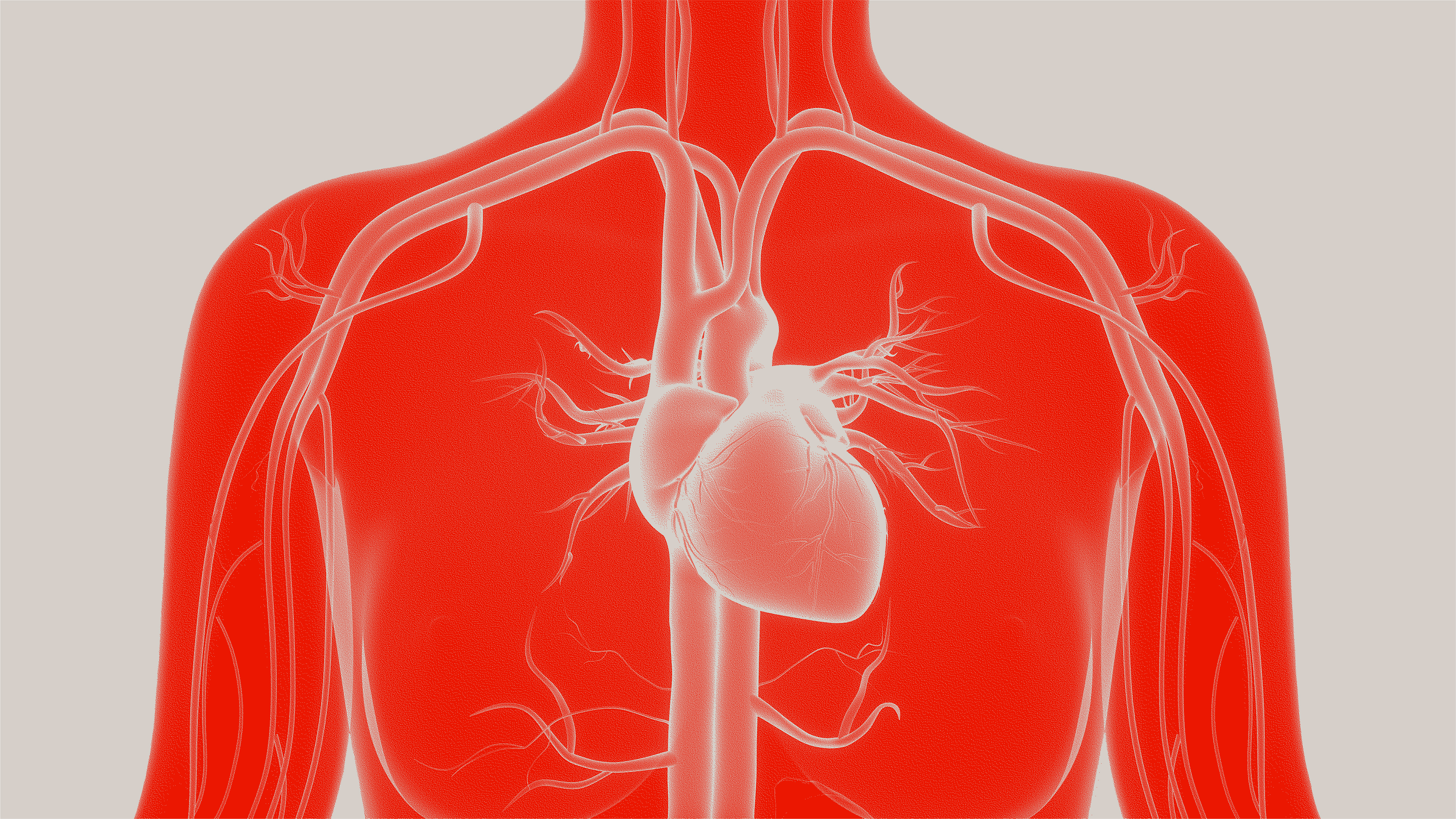 Electrophysiology Illustration