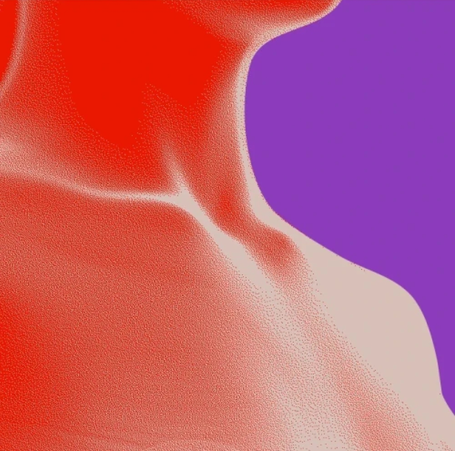 Body illustration of a human.