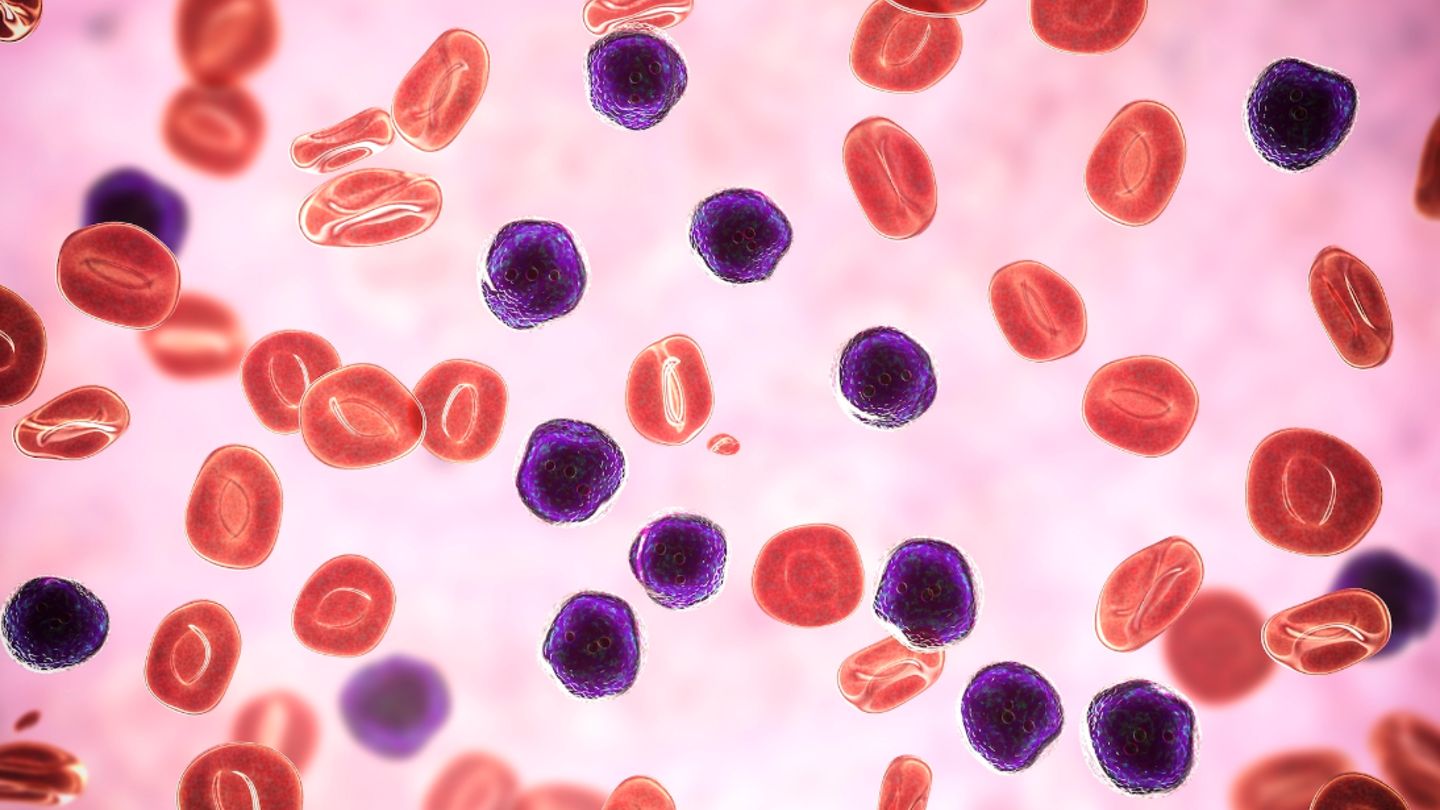 Screenshot 2025 03 11 At 3.33.55 PM