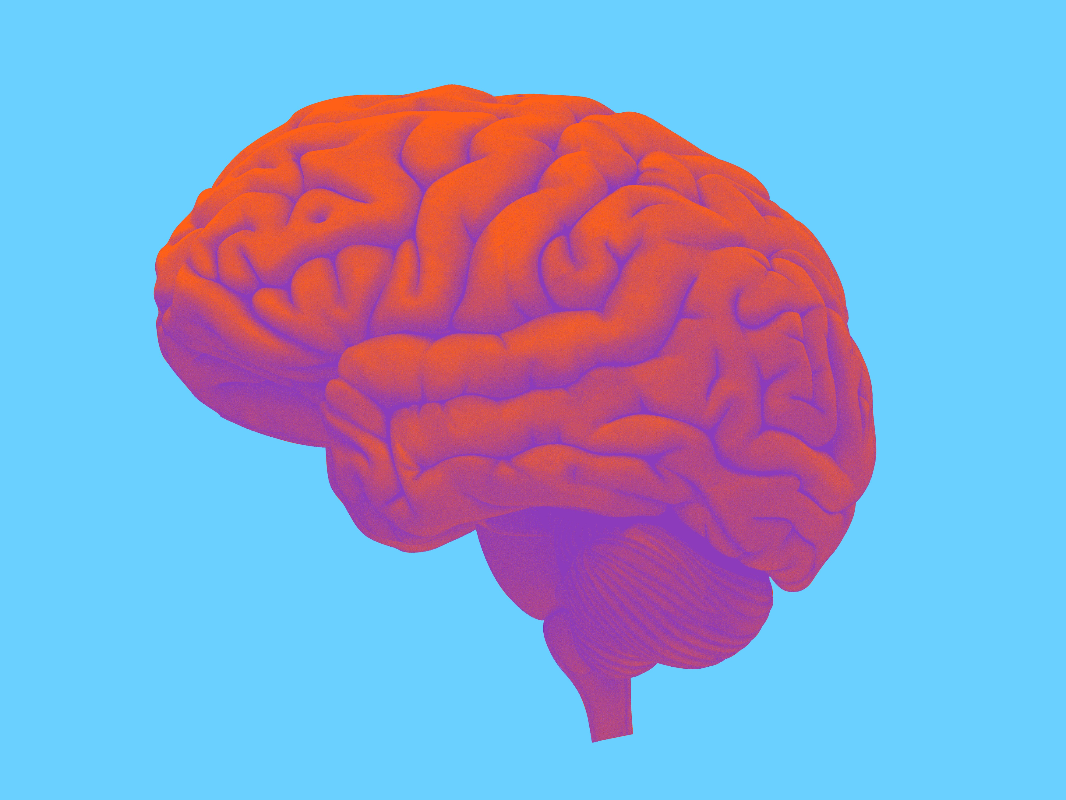 Alzheimers Disease
