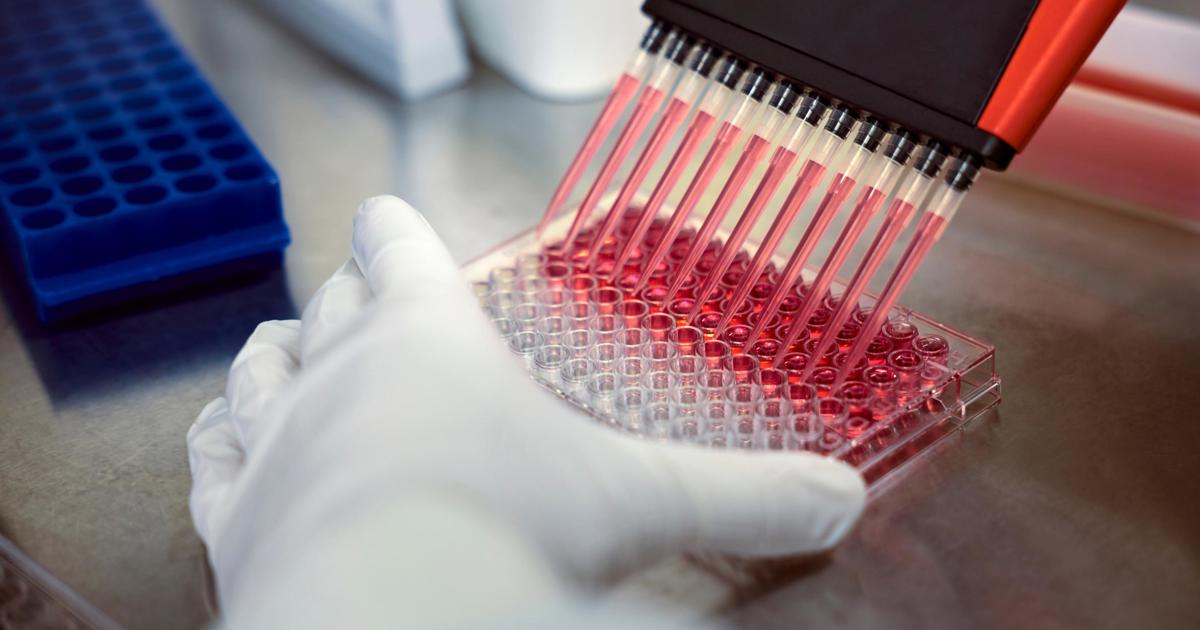 Explore Johnson & Johnson careers in Philippines Johnson & Johnson Careers