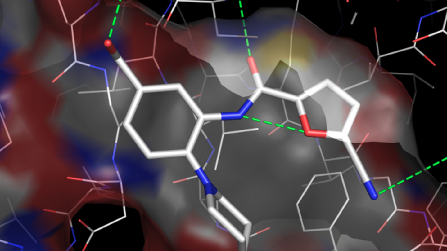 Data Science Insights From Enterprise CIO